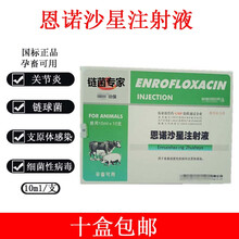 兽药兽用链菌专家恩诺沙星注射液各种链球菌拐脚恩诺沙星针 10盒 鑫嘉禾恩诺沙星