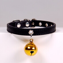 宠物狗狗铃铛项圈 猫咪项圈铃铛项链饰品小型犬泰迪狗狗项圈 黑+金 金铃铛-黑皮带 S-小型