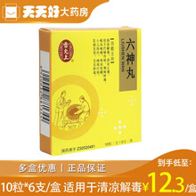 雷氏 六神丸 10粒*6支/盒 清凉止毒 消炎止痛 标准装