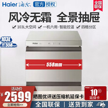 海尔（Haier）冷柜家用小型迷你卧式冷藏冷冻转换商用冰柜一级能效节能省电单温保鲜组合冰箱家电 103WEG（103升）风冷无霜 可开专票/送货入户/全国联保
