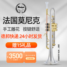 法国莫尼克（Monique）小号 管乐器 降B调黄铜磷铜白铜材质初学考级演奏管乐团队成人学生通用乐器 MTR-820PRO