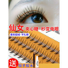 乐哉美妆稻草人假睫毛仙女朵毛初学者自己嫁接自然款夹心单簇仙子毛分段式