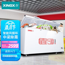 星星（XINGX）408升商用大容量冰柜 冷藏冷冻转换卧式冷柜 超市冰箱保鲜柜  BD/BC-408FE