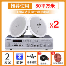 先科SA-1吸顶音箱天花吊顶音响定压背景音乐壁挂室内家用蓝牙喇叭 120W蓝牙功放＋2个8寸吸顶喇叭