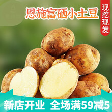 恩施现挖新鲜富硒小土豆10斤农产品黄心小马铃薯蔬菜小洋芋 4500g