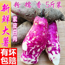 大薯脚板薯紫淮山药农产品紫大薯农家毛薯 3斤