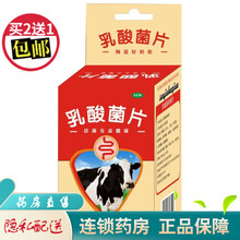 三九保健鑫全康乳酸菌片100片 3盒装【实发5盒】