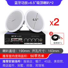 先科SA-9016无线蓝牙音响同轴吸顶喇叭套装嵌入式有线音箱3D环绕重低音室内家用客厅壁挂商用广播 2个6.5寸同轴吸顶+放大器