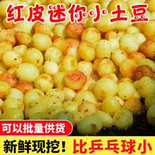 梓乐果 云南高山迷你小土豆新鲜10斤农家自种蔬菜红皮马铃薯批发黄心洋芋 5000g