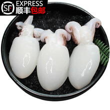 三人港   新鲜冷冻墨鱼仔生鲜海鲜水产东海舟山生鲜 1200g
