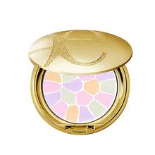 【日本本土版】Elegance雅莉格丝E大饼欢颜粉饼持妆不卡粉便携装 家庭装 便携装1号 8.8g