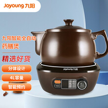 九阳（Joyoung）煎药壶中药壶熬药锅 养生壶 4L大容量 耐热陶瓷 液体加热器 智能药膳煲家用 DGD4002BQ