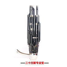 新艺 24簧26簧精致加键扩音笙乐器大全圆竽乐器修笙工具笙包 24加键簧笙-D调