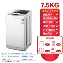 全自动洗衣机大容量波轮洗脱一体机小型宿舍婴儿童迷你家用租房 君凌 7.5KG 风干 蓝光纳米除菌