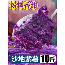 紫薯新鲜番薯地瓜农家10斤香红沙地薯糖心山芋5 10斤 大果