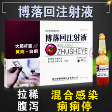 博落回注射 液针剂痢疾肠炎腹泻仔猪黄白痢牛羊用草药 博落回兽药 【5mlx10支】1盒