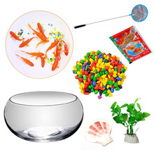 鱼多趣 草金鱼活体 锦鲫观赏鱼淡水鱼冷水鱼 12条（3-5cm）饲养套餐 1套