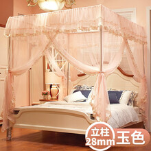 西漢家纺 落地新款蚊帐家用1.5m床 公主风1.8m网红支架纹账2米加密加厚 玉色 1.8*2米床
