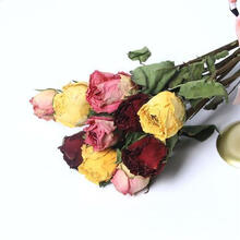 多头玫瑰干花蔷薇浪漫泡泡小清新干花束ins北欧风家居装饰DIY滴胶 皇冠+苏醒+卡罗拉一束（10枝）