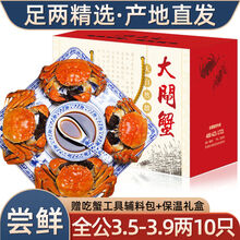 【10只装】大闸蟹全公母六月黄螃蟹镇海鲜水产生鲜 全公蟹：3.5-3.9两(10只)