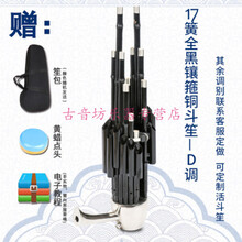 天津笙乐器民乐14簧方笙17簧21簧圆笙扩音笙初学专业演奏 17簧全黑镶箍铜斗笙-D