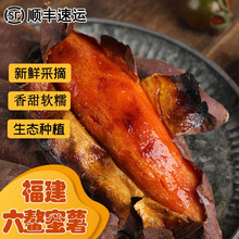 （现挖/顺丰）福建六鳌蜜薯 新鲜糖心红心地瓜农家烤地瓜软糯沙地流油香烤番薯 10斤 精选中果