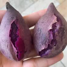 正宗越南小紫薯（现货现发）农家自种 粉糯地瓜紫心番薯板栗小香薯 代餐低脂粗粮 精选中果3斤