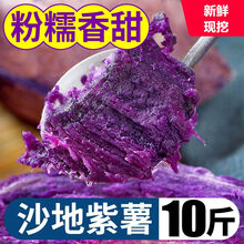 新鲜紫薯新鲜5/10斤紫薯小紫薯地瓜番薯 带箱9.5-10斤 中果