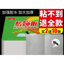 强力粘蝇胶 粘蝇纸苍蝇贴强力粘蝇板神器杀手灭蝇子蚊子克星捕捉器家用一扫光 50片 50张(加大加厚)+2包诱饵