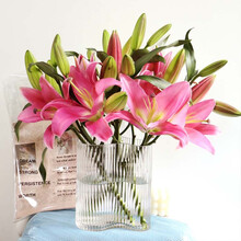 （linkinjoy） 粉百合多头粉色（12-15花苞）鲜花生活家居七夕生日礼物 基地直发L
