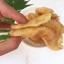 康中尊 南澳成鱼孕妇北海公肚赤嘴黄花胶干货深海野生滋补鳘鱼胶500g 1斤装约23头(切条)