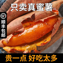 红薯新鲜农家番薯烤地瓜山东沙地烟薯25号糖心5红心蜜薯10斤 5000g 中果