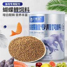 贝意品蝴蝶鲤鱼饲料白金龙凤锦鲤鱼食增白靓鳞高蛋白不浑水小颗粒下沉观赏鱼粮 蝴蝶鲤饲料900ml（600g）