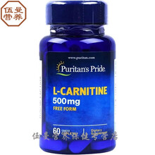 左旋肉碱500mg60粒 美国原装进口普瑞丁登puritan's pride