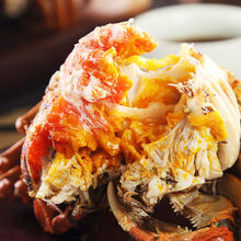 【活蟹】大闸蟹特大鲜活淡水公母蟹六月黄大螃蟹海鲜水产蟹类 普米加罗 六月黄(2.2-2.6两)10只