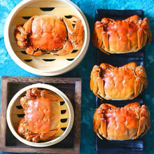 大闸蟹鲜活现货六月黄特大公母蟹活体3.5-1.3两螃蟹河蟹 2.3-2.8两 8只(六月黄)