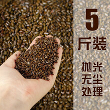 儿童沙池决明子玩具宝宝玩沙子家用枕芯装散装套装大颗粒沙子室内 大颗粒无尘抛光5斤