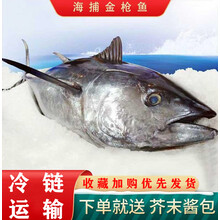 金枪鱼新鲜速冻整条可刺身生鱼片料理食材金枪鱼块生鲜  纯曼郎帝 40-45斤