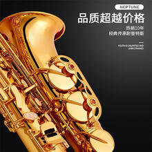 【六一儿童节甄选礼物】降E调中音萨克斯风管乐器初学者考级演奏乐队教学WH 【升级双筋复古青铜】+升级箱包笛头