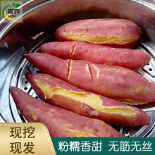 【现货速发】陕西板栗薯 红皮陕西黄河滩沙地红薯 红薯粉糯黄白心番薯蜜薯地瓜 9斤
