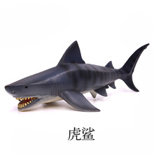 儿童仿真海洋鲨鱼玩具模型大号巨齿鲨大白鲨巨口鲨动物模型 虎鲨