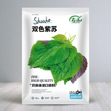 寿禾食用紫苏种子双色蔬菜种籽四季青菜阳台盆栽菜种 双色紫苏种子10g/袋（约2500粒）