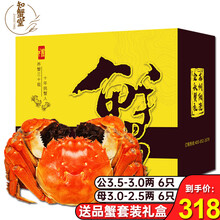 【活蟹】知蟹堂大闸蟹鲜活 螃蟹活物生鲜六月黄河蟹海鲜礼盒装 公3.5-3.0两母3.0-2.5两6对