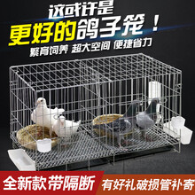 鸽子笼家用带隔断大号鸽子笼养殖笼鸽子配对笼繁殖鸽笼 双层60*42*50托盘食具脚垫草窝