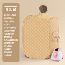 木顿 汗蒸箱家用折叠全身家庭用式产后桑拿汗蒸房浴箱发汗熏蒸机蒸汽袋 【双人款】金色