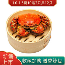 【活蟹】蟹家长大闸蟹 六月黄大闸蟹鲜活特大螃蟹公母蟹生鲜水产新鲜河蟹 1.0-1.5两10加2只抵损