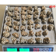 康中尊 云南文山三七20头30头40头18春田七500g圆头可代磨粉片狮子头 【划算】45头45个无剪口500克