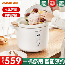 九阳 电炖锅 3.5L家用电热煲  预约陶瓷煲 文火煲汤锅 4.5L炖煮锅 老火煲汤 大容量电炖锅 4.5L单胆