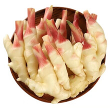 2021仔姜生姜嫩姜泡姜泡醋姜指姜红芽姜胜板姜 1500g 优选仔姜