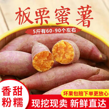 山东板栗蜜薯沙地红蜜薯3/5斤红心地瓜新鲜板栗香蕃薯蔬菜 3.5斤中果